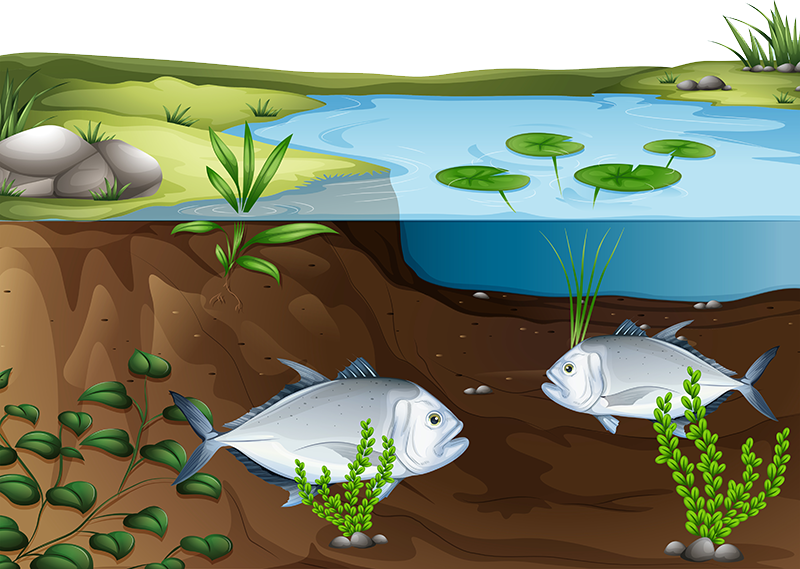 Aquaculture is one of the fastest-growing forms of food production